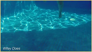 Wife hot bikini swim